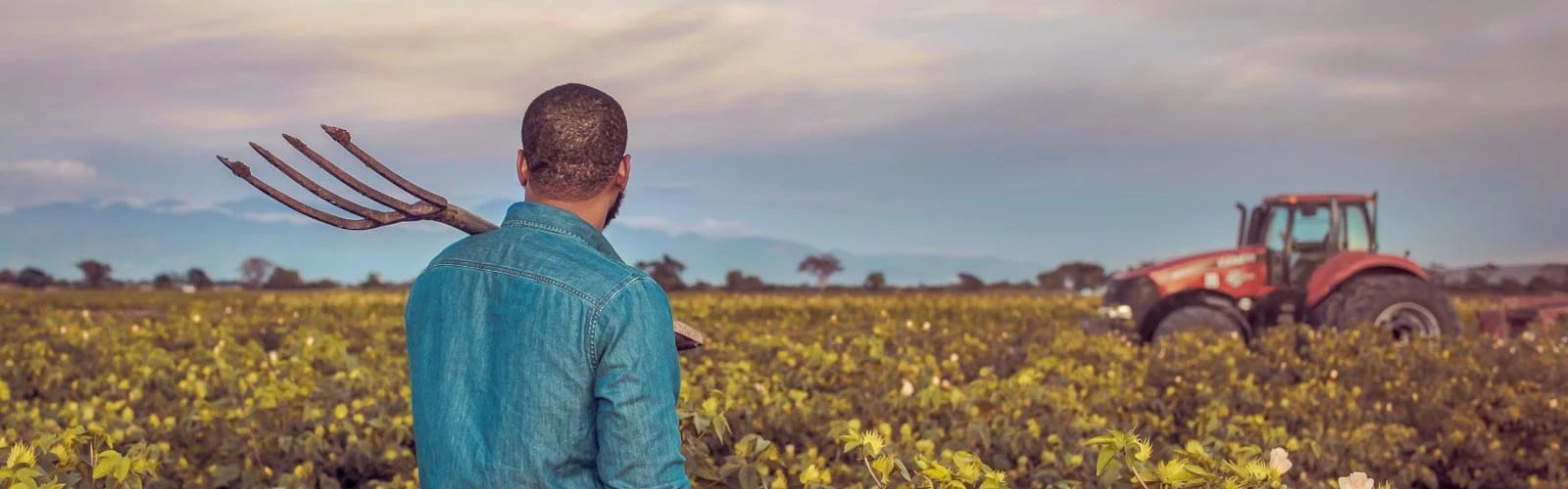 5 Reasons Why Jamaican Farmers Should Invest in Tractors